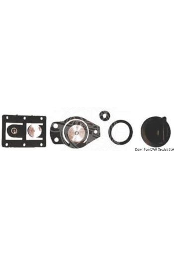 Gasket kit and spare valves